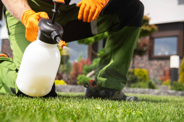 Best Flea Control Services  in Wymore, NE