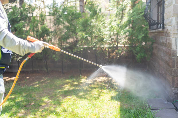 Best Pest Prevention Services  in Wymore, NE