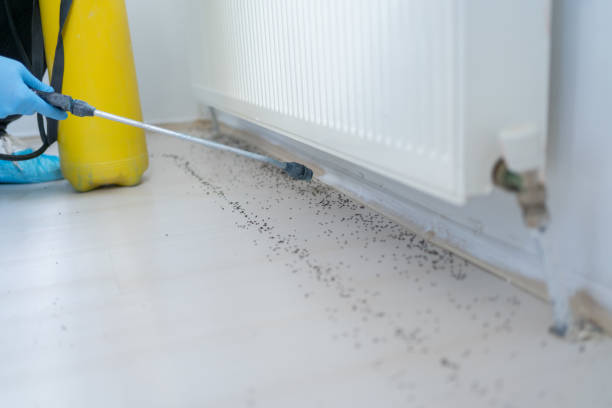 Best Pest Control Treatment  in Wymore, NE