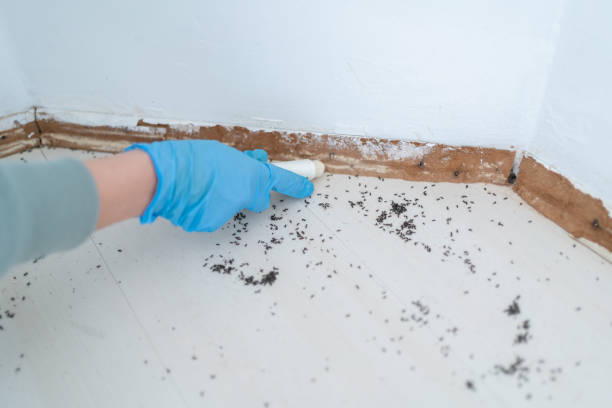 Best Commercial Pest Control Services  in Wymore, NE
