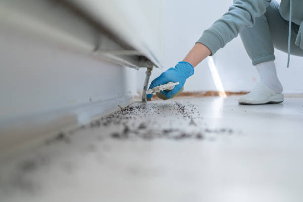 Best Wildlife Control Services  in Wymore, NE